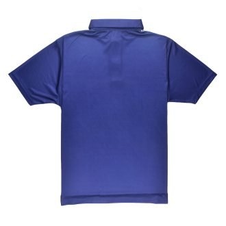 Triumph Badminton Polo Tshirt For Men